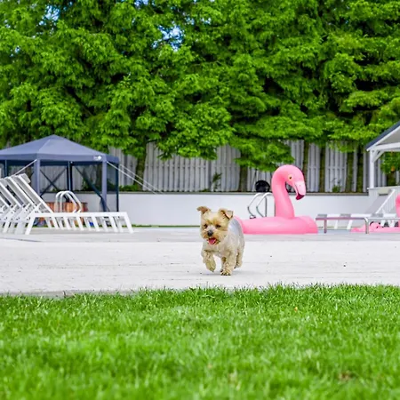 Vakantiehuis Golf